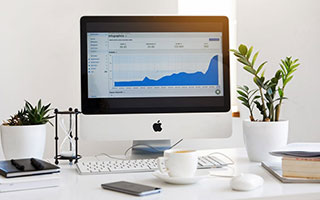 猫的品种完全指南：从性格到养护的专业解析