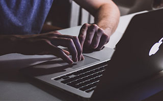 2026年龙猫价格全解析：从选购到饲养的成本指南