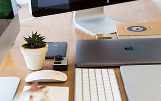 2026实用养猫指南：猫鼻支和感冒的区别及应对